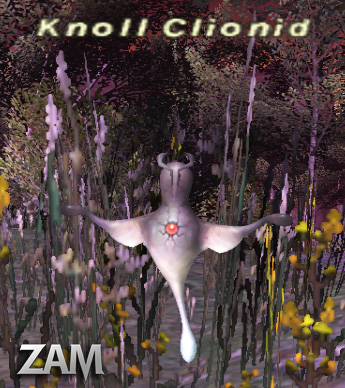 Knoll Clionid Picture