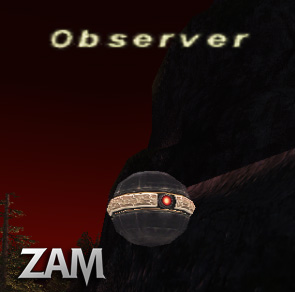 Observer Picture