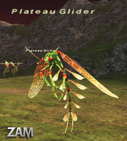 Plateau Glider Picture