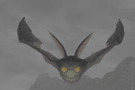 Acro Bat Picture