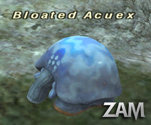 Bloated Acuex Picture