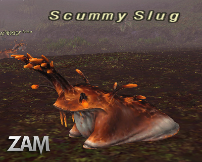Scummy Slug Picture