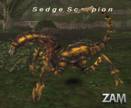Sedge Scorpion Picture