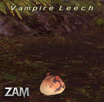 Vampire Leech Picture