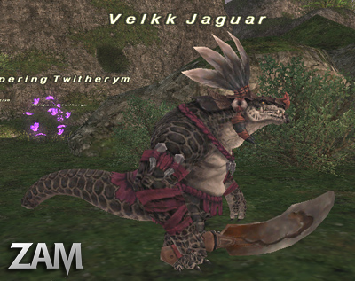 Velkk Jaguar Picture