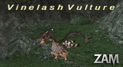 Vinelash Vulture Picture