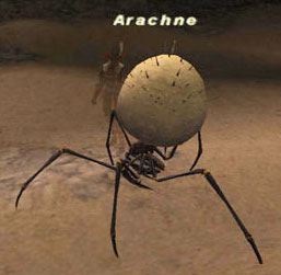 Arachne Picture