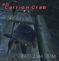 Carrion Crab Picture