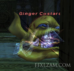 Ginger Custard Picture