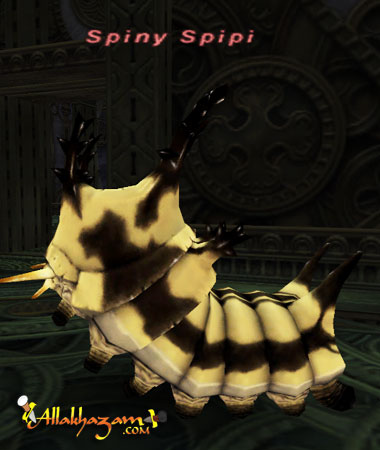 Spiny Spipi (Nyzul) Picture
