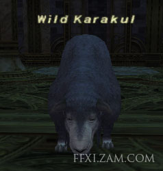Wild Karakul (Nyzul) Picture