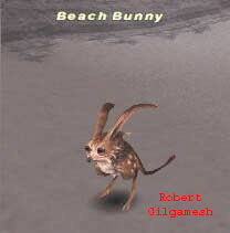 Beach Bunny Picture