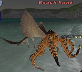 Beach Monk Picture
