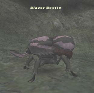 Blazer Beetle Picture