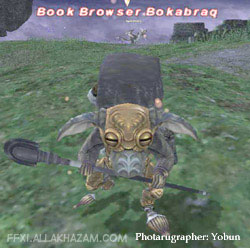 Book Browser Bokabraq Picture