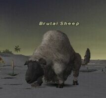 Brutal Sheep Picture