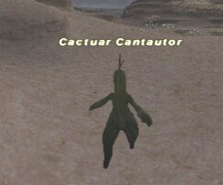 Cactuar Cantautor Picture
