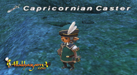 Capricornian Caster Picture