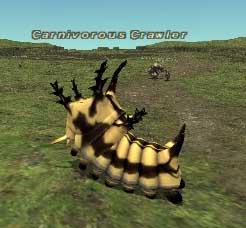 Carnivorous Crawler Picture