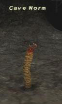 Cave Worm Picture