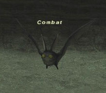 Combat Picture