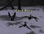 Dark Bats Picture