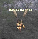 Davoi Hornet Picture