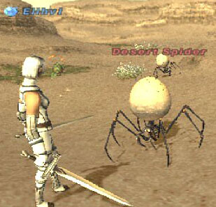 Desert Spider Picture