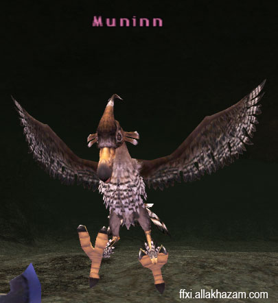 Muninn Picture
