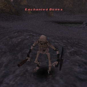 Enchanted Bones (BLM) Picture