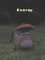 Exoray Picture