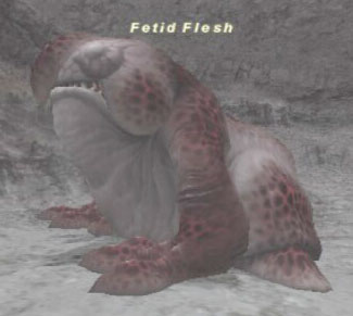 Fetid Flesh Picture