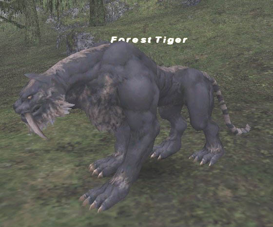 Forest Tiger Picture