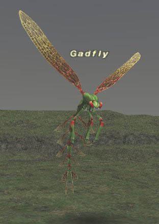 Gadfly Picture