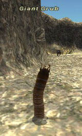 Giant Grub Picture