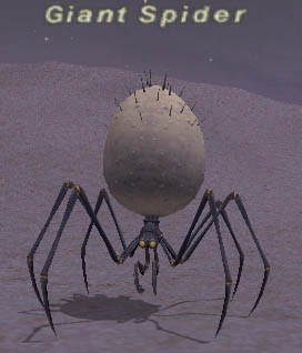 Giant Spider Picture