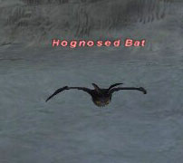 Hognosed Bat Picture