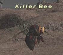 Killer Bee Picture
