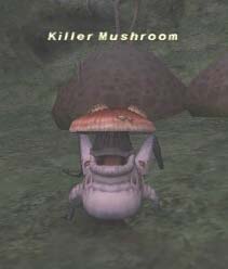 Killer Mushroom Picture