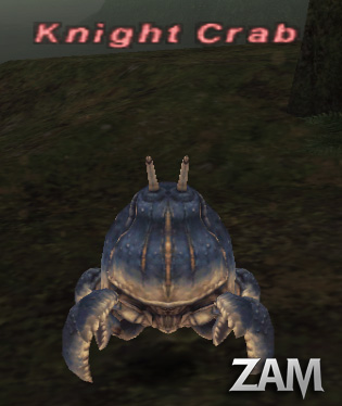 Knight Crab Picture