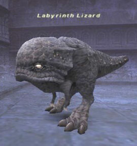 Labyrinth Lizard Picture