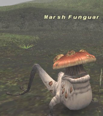 Marsh Funguar Picture