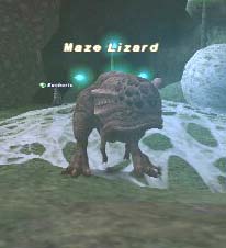 Maze Lizard Picture