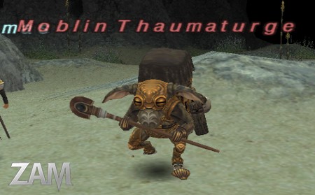 Moblin Thaumaturge Picture
