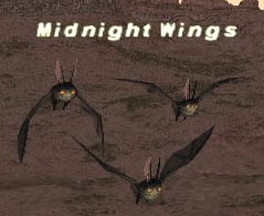 Midnight Wings Picture