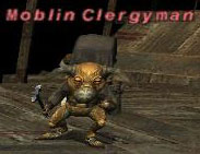 Moblin Clergyman Picture
