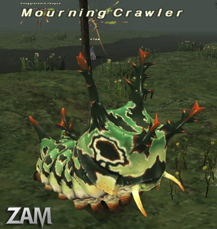 Mourning Crawler Picture