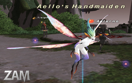 Aello's Handmaiden Picture