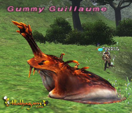 Gummy Guillaume Picture