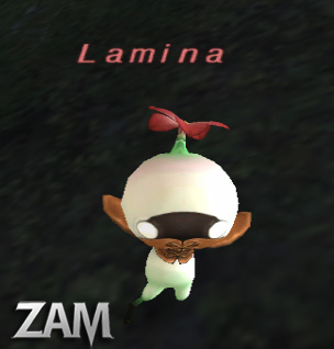 Lamina Picture
